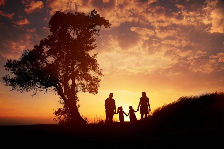 Wanted: Kingdom Families