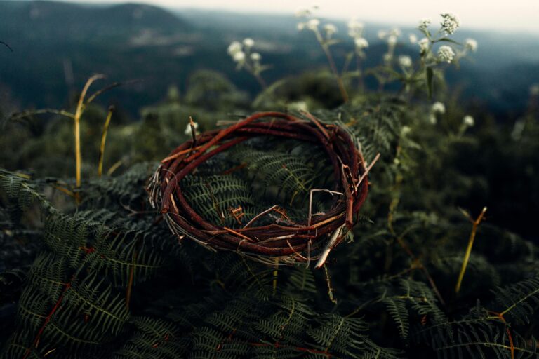 Good Friday Meditation: A Fitting Crown