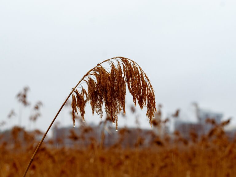 Discipling When You Need to Be Discipled