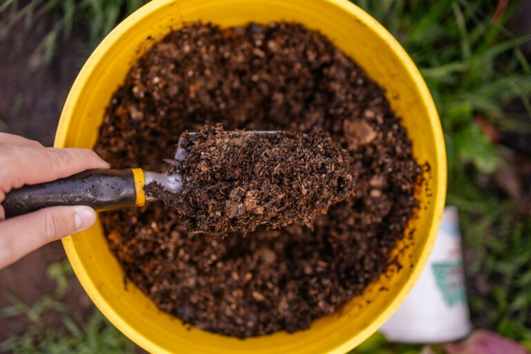 The Soil of the Prosperity Gospel