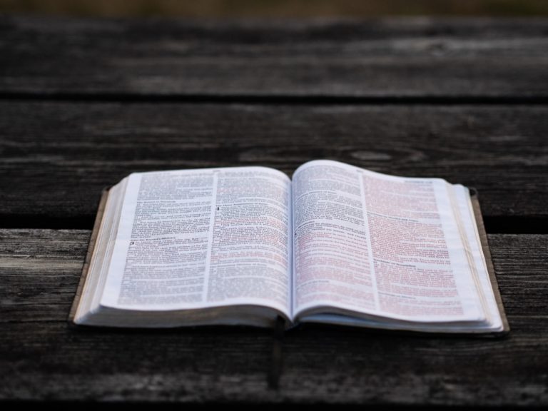 Did Jesus Affirm Penal Substitutionary Atonement?