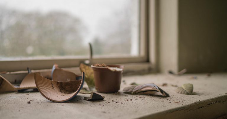 A Testimony of Restoration