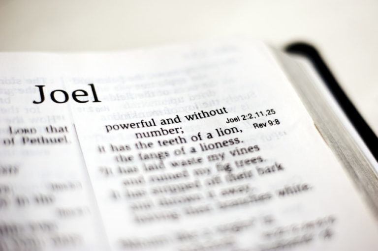 Four Reasons You Should Preach Through Joel