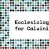 Episode 73: On Ecclesiology for Calvinist Pastors Talk podcast