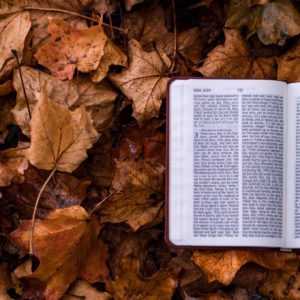 Five Marks of a Calvinist Pastor's Ministry