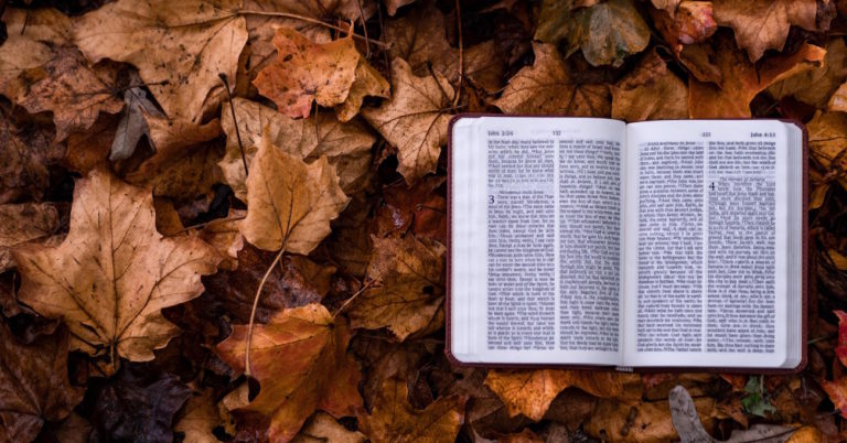 Five Marks of a Calvinist Pastor's Ministry