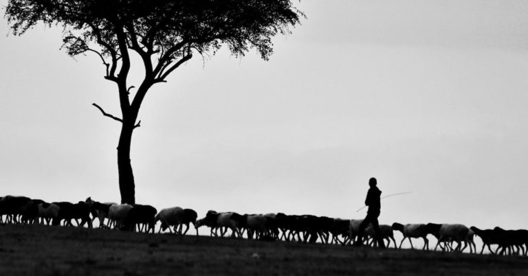 How Unconditional Election Sustains Pastoral Ministry