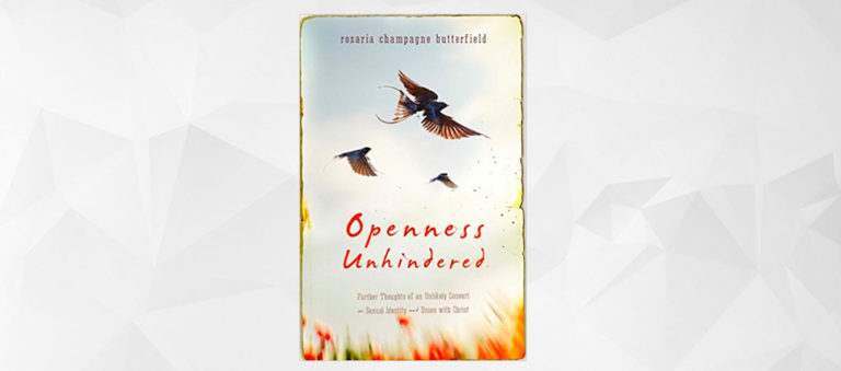 Book Review: Openness Unhindered: Further Thoughts of an Unlikely Convert on Sexual Identity and Union with Christ