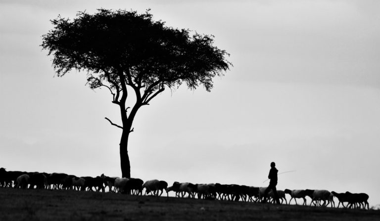 Why Should Pastors Care About Their Holiness?