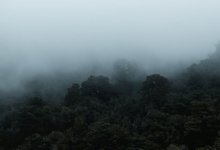 Pastoring Amid Suspicion
