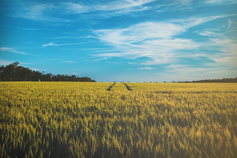 Three Ways Our Deeds Relate to Our Salvation