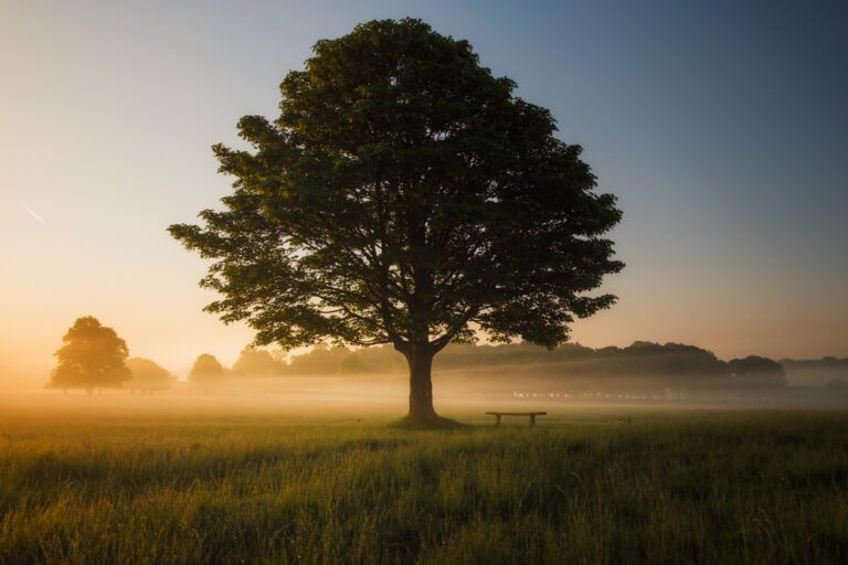 The Whole Commission: Why Making Disciples Includes More Than Evangelism