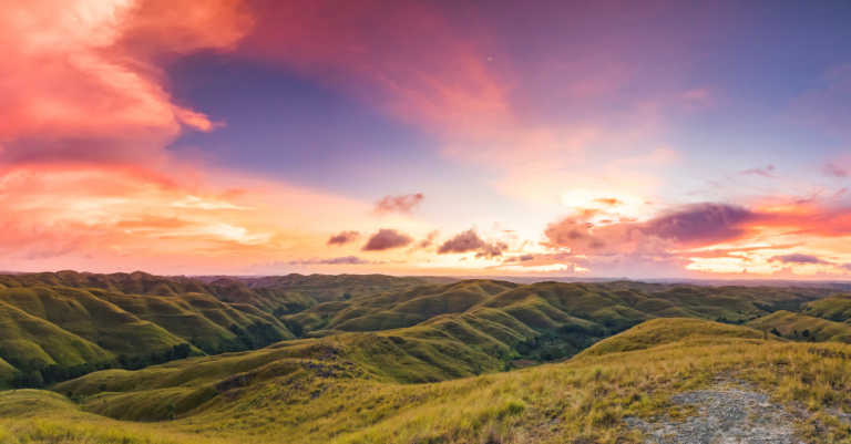 Four Reasons to Preach the Psalms as a Book