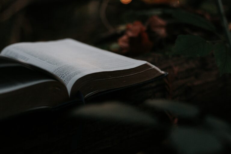 The Frankenstein Sermon