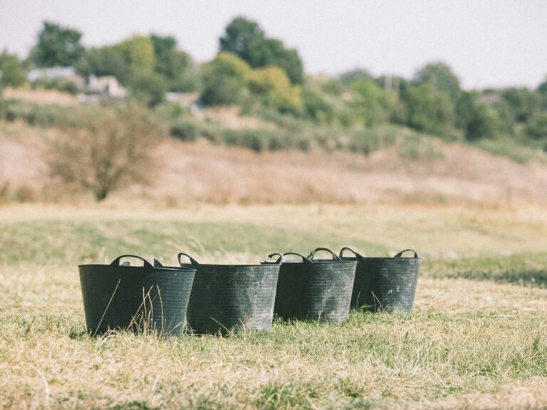 Church Staff Belong in Two Buckets: Elder-Qualified or Deacon-Qualified