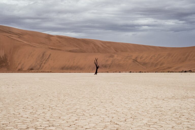 A God-Centered Antidote to the Loneliness Epidemic