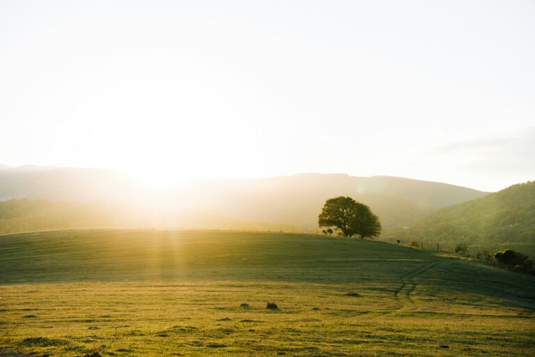 Creation Speaks: Natural Law, Psalm 19, and the Recovery of Moral Theology for Evangelical Political Thought