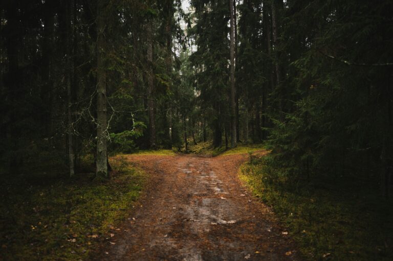 Why the Doctrine of Conversion Matters for Membership Interviews